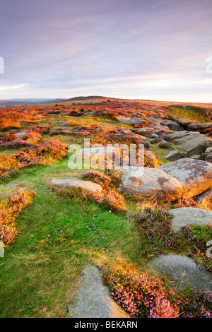 Higger Tor rocks illuminée par la lumière de l'été chaud l'aube dans le parc national de Peak District Banque D'Images
