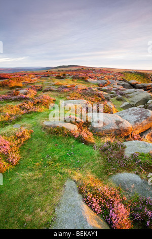 Higger Tor rocks illuminée par la lumière de l'été chaud l'aube dans le parc national de Peak District Banque D'Images