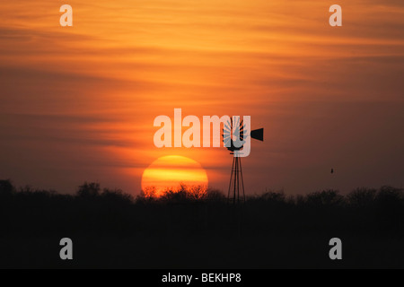 Moulin à vent au coucher du soleil, Sinton, Corpus Christi, Coastal Bend, Texas, États-Unis Banque D'Images