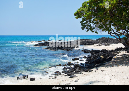 Vue côtière sur la grande île d'Hawaï avec des roches de lave Banque D'Images