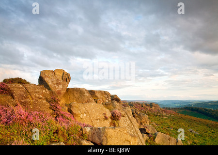Dernière lumière sur le Carhead à Heather rochers dans le parc national de Peak District, Derbyshire Banque D'Images