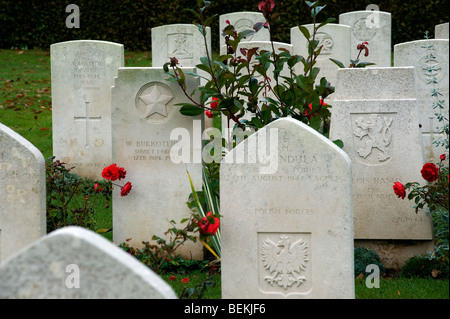 Bayeux Commonwealth War Graves Commission Cemetery,Bayeux,Normandie,France. Banque D'Images