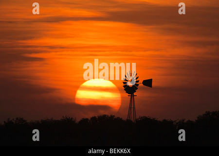 Moulin à vent au coucher du soleil, Sinton, Corpus Christi, Coastal Bend, Texas, États-Unis Banque D'Images