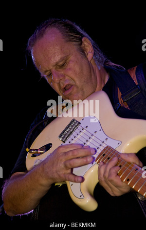 Guitariste de blues américain, Walter Trout, jouer en live au Globe à Cardiff, Pays de Galles, Royaume-Uni Banque D'Images