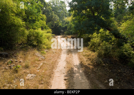 Parc national de Bandhavargh Inde Elephant ride Banque D'Images