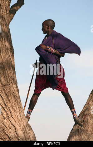 Homme Masai, Parc National d'Amboseli, Kenya, Afrique de l'Est. Banque D'Images