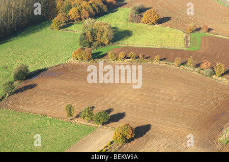 Zone agricole avec des champs, prairies et forêts de l'air à l'automne, Belgique Banque D'Images