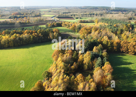 Forêt mixte avec le chêne (Quercus robur) Hêtre (Fagus sylvatica) et de bouleaux (Betula sp.) avec forêt de pins, les champs et les prairies je Banque D'Images