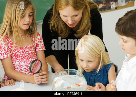 L'enseignant et les élèves du primaire se sont réunis autour de Goldfish Bowl Banque D'Images