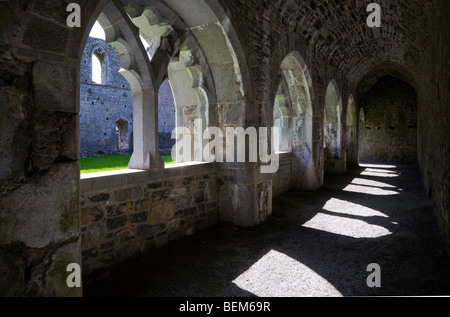 Les cloîtres de Killmallock Monastère dominicain du 13e siècle, Co Limerick, Irlande Banque D'Images