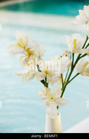 Arrangement de fleurs, une piscine en arrière-plan Banque D'Images