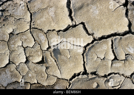 Abstract pattern de boue d'argile fissurée à sec dans le lit du lac asséché causé par une sécheresse prolongée en été par temps chaud températures élevées Banque D'Images