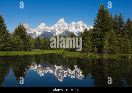 Tetons se reflétant dans l'étang, l'atterrissage Schwabacher, Grand Teton NP, Wyoming, USA Banque D'Images