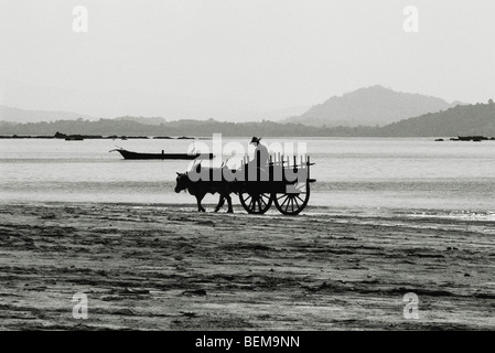 Myanmar (Birmanie), à la plage de Ngapali charrette Banque D'Images