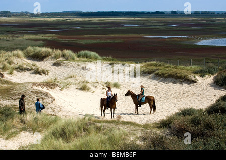 Deux femmes à cheval et les touristes dans les dunes de la réserve naturelle le Zwin le long de la côte de la mer du Nord à Knokke, Belgique Banque D'Images