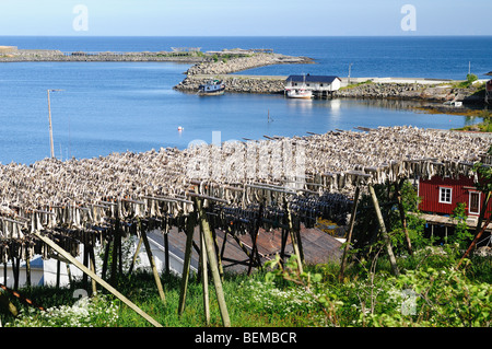 Stockfish - séchage suspendu à la morue près de casiers en bois sur les Îles de Moskenes - Lofoten en Norvège Banque D'Images