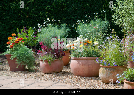 Des fleurs dans des conteneurs Banque D'Images