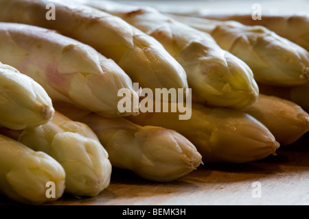 Paquet de blancs récoltés asperge (Asparagus officinalis) tire à la consommation alimentaire Banque D'Images