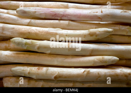 Paquet de blancs récoltés asperge (Asparagus officinalis) tire à la consommation alimentaire Banque D'Images