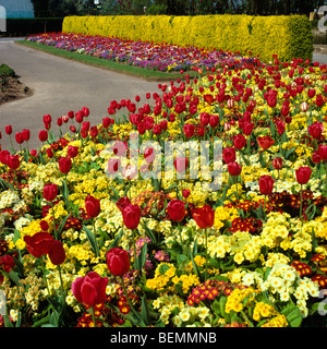 Le zoo de Chester, Cheshire, le printemps, le Jardin des Papillons Banque D'Images