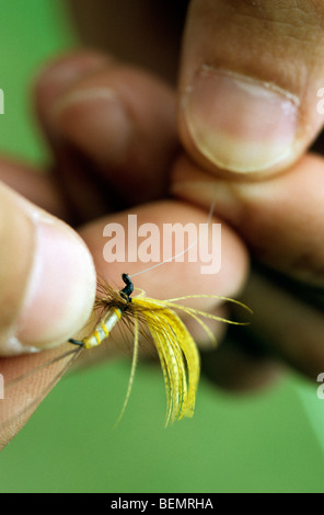 La préparation de l'hameçon pour la pêche de mouche pour la truite, Ardennes, Belgique Banque D'Images