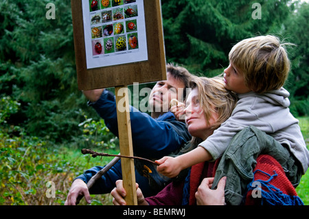 Mère portant sur les épaules de l'enfant l'apprentissage de la lecture par la nature de l'information de la faune le long du sentier pédagogique dans la forêt Banque D'Images