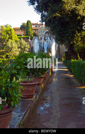 Villa D'Este, Tivoli, Italie. Fontaine de Neptune et l'organe de l'eau de la fontaine. Banque D'Images