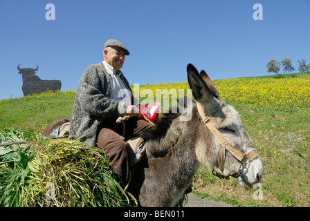 17 Taureau Osborne espagnol ancien agriculteur homme voyageant en Espagne l'icône symbole de l'Espagne. Location Andalousie Banque D'Images