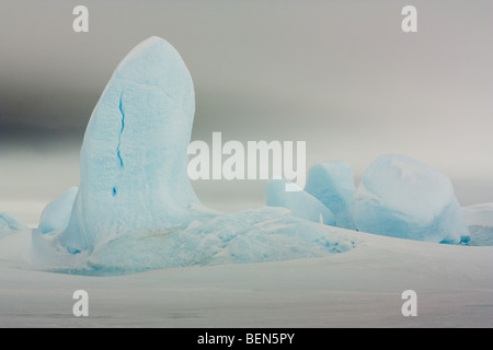Les icebergs emprisonnés dans la glace de mer congelés, de l'Antarctique Banque D'Images