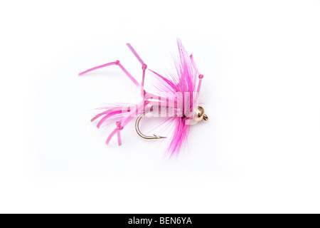 Caoutchouc rose truite daddy fly isolated on a white background studio. Banque D'Images