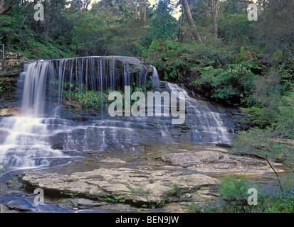 Petite cascade du patrimoine mondial des Blue Mountains National Park New South Wales Australie Banque D'Images