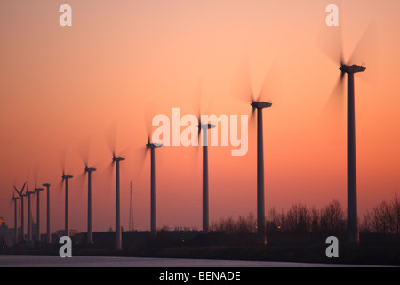 Moulins à vent au coucher du soleil, Belgique Banque D'Images