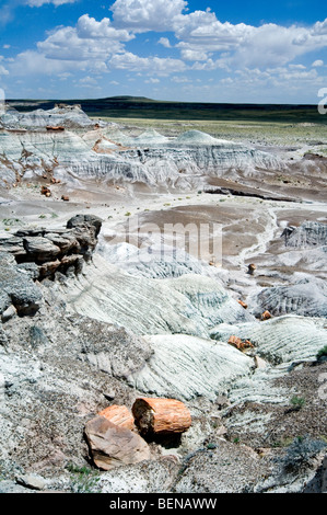 Le bois pétrifié exposés par l'érosion du sol dans les badlands du Painted Desert et Petrified Forest National Park, Arizona, USA Banque D'Images