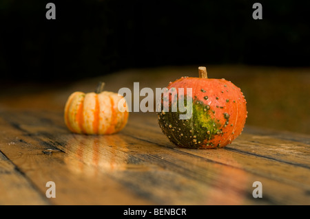 Deux de citrouille sur une table en bois Banque D'Images