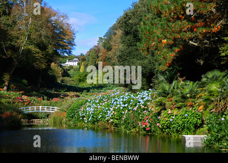 Trebah gardens, mawnen smith, Cornwall, England, UK Banque D'Images