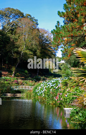 Trebah gardens, mawnen smith, Cornwall, uk Banque D'Images