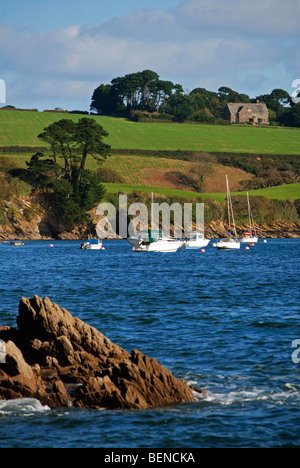 Une vue de la rivière helford de trebah gardens à Cornwall, uk Banque D'Images