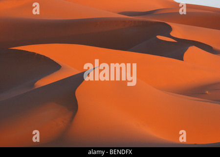 Dunes de sable rouge de l'Erg Chebbi, le début du désert du Sahara au Maroc, l'Afrique du Nord Banque D'Images