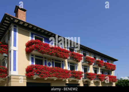 Belle maison colorée en Navarre avec les fleurs rouges sur balcon Banque D'Images