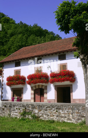 Belle maison colorée en Navarre avec les fleurs rouges sur balcon Banque D'Images