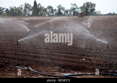 L'irrigation des terres agricoles de l'eau sprinkers labouré dans la république de Chypre Banque D'Images