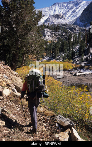 Sac Homme. Banque D'Images