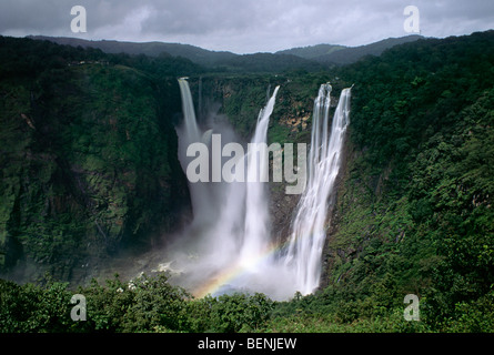 Jog Falls créé par la rivière Sharavathi tombe d'une hauteur de 829 mètres est la plus haute chute d'eau dans le Shimoga Banque D'Images