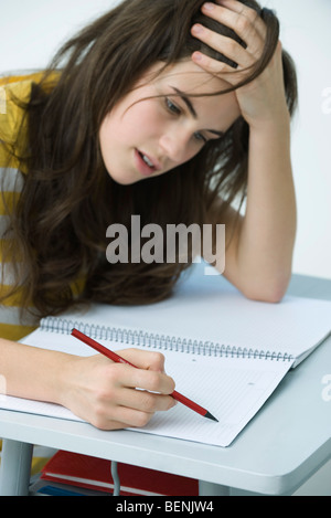 High school student studying Banque D'Images