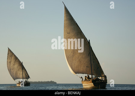 Les dhows 2 quitter le port de l'île Stonetown Zanzibar en Tanzanie Banque D'Images