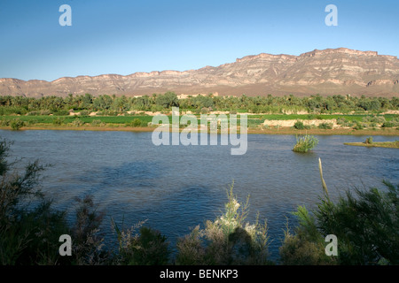 La vallée du Draa Maroc Palmery Banque D'Images