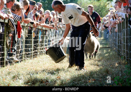 Coulisses de Masham Moutons Fair 2009 Banque D'Images