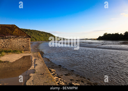 Lumière du soir sur le quai près de Lopwell sur la rivière Tavy, Devon, UK Banque D'Images