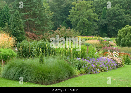 Conifères graminées vivaces [ERS] Harlow Carr Gardens Harrogate Banque D'Images