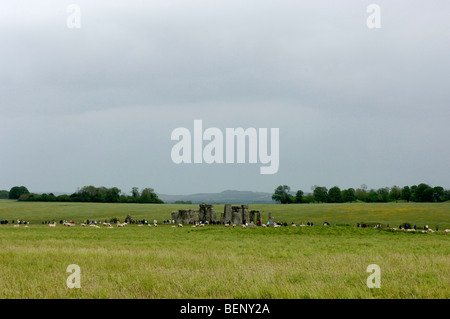 Une vue lointaine de Stonehenge, les visiteurs et les moutons dans la plaine de Salisbury, Wiltshire. Banque D'Images